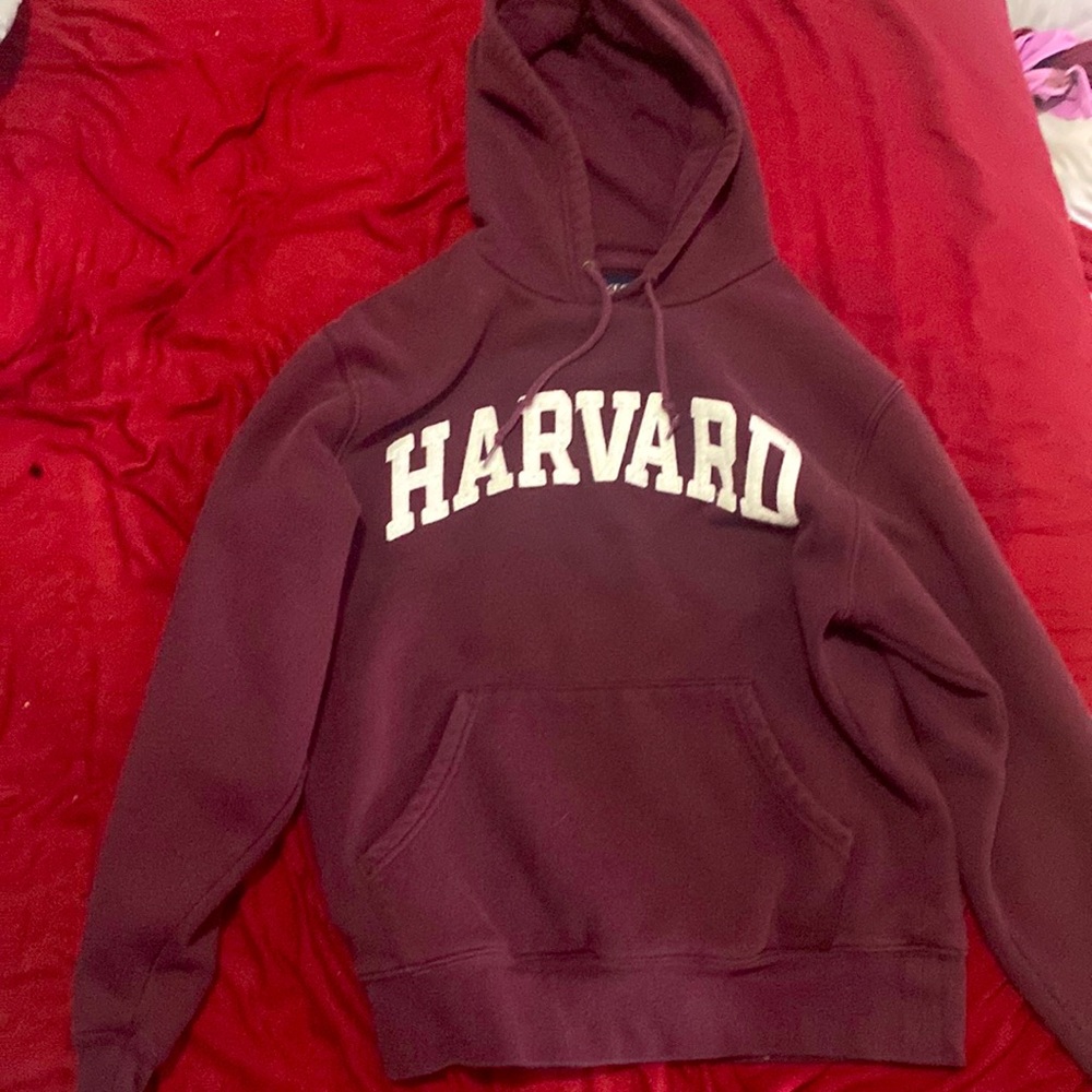 Comfy Jansport Harvard Hoodie
